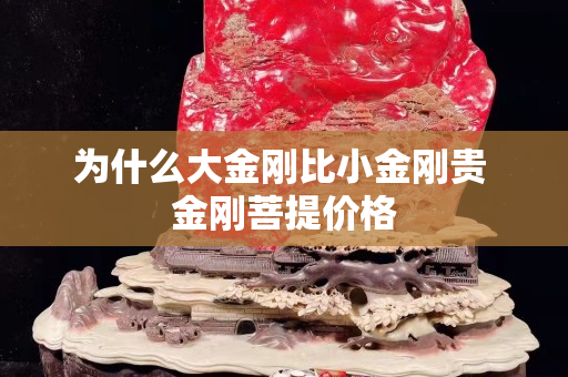 為什么大金剛比小金剛貴 金剛菩提價格