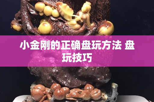 小金剛的正確盤玩方法 盤玩技巧
