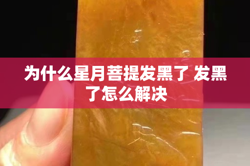 為什么星月菩提發黑了 發黑了怎么解決