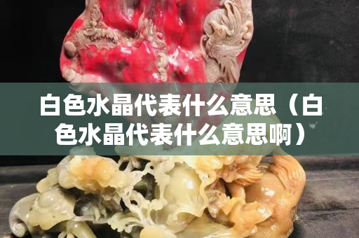 白色水晶代表什么意思（白色水晶代表什么意思啊）