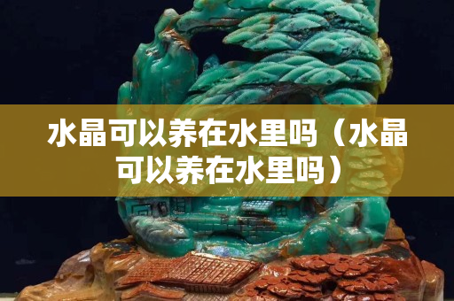 水晶可以養(yǎng)在水里嗎（水晶可以養(yǎng)在水里嗎）