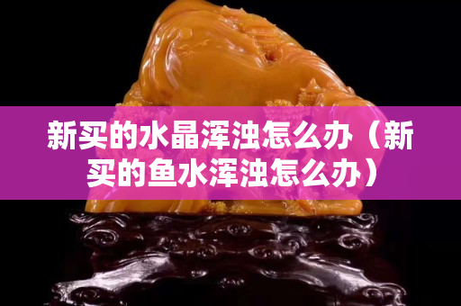 新買的水晶渾濁怎么辦（新買的魚水渾濁怎么辦）