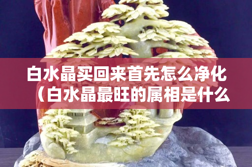 白水晶買回來首先怎么凈化（白水晶最旺的屬相是什么）