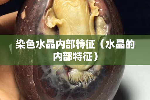 染色水晶內部特征（水晶的內部特征）