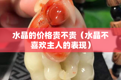 水晶的價(jià)格貴不貴（水晶不喜歡主人的表現(xiàn)）