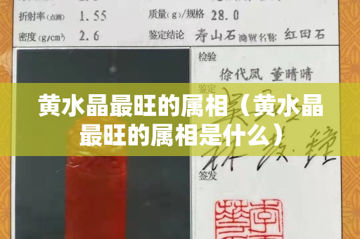 黃水晶最旺的屬相（黃水晶最旺的屬相是什么）