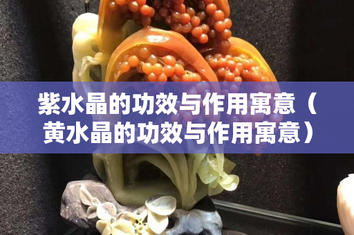 紫水晶的功效與作用寓意（黃水晶的功效與作用寓意）