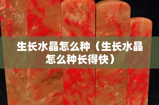 生長水晶怎么種（生長水晶怎么種長得快）