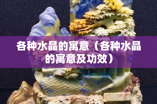 各種水晶的寓意（各種水晶的寓意及功效）