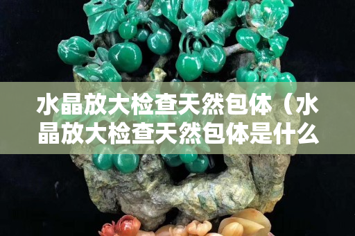 水晶放大檢查天然包體（水晶放大檢查天然包體是什么意思）