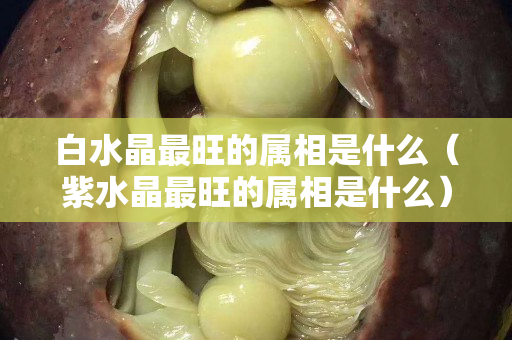 白水晶最旺的屬相是什么（紫水晶最旺的屬相是什么）