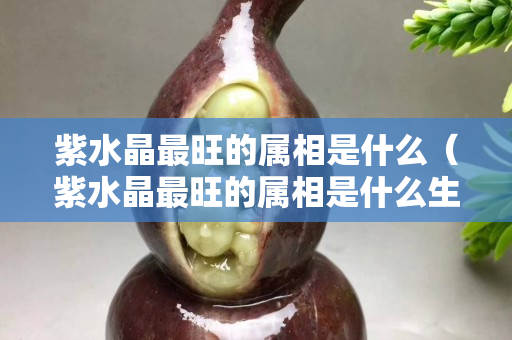 紫水晶最旺的屬相是什么（紫水晶最旺的屬相是什么生肖）