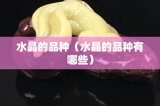 水晶的品種（水晶的品種有哪些）