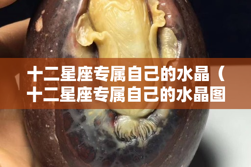 十二星座專屬自己的水晶（十二星座專屬自己的水晶圖）