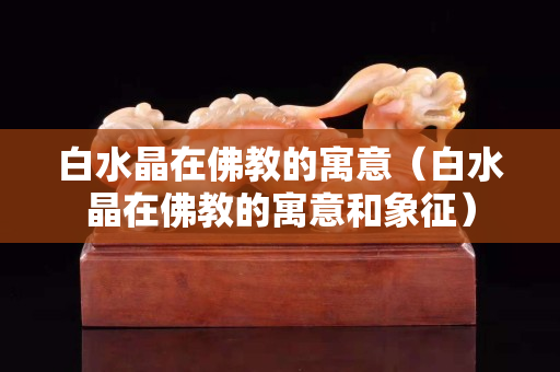 白水晶在佛教的寓意（白水晶在佛教的寓意和象征）