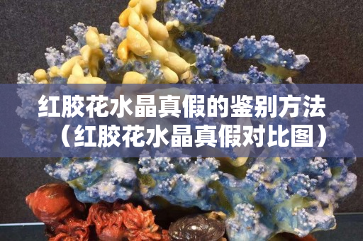 紅膠花水晶真假的鑒別方法（紅膠花水晶真假對比圖）
