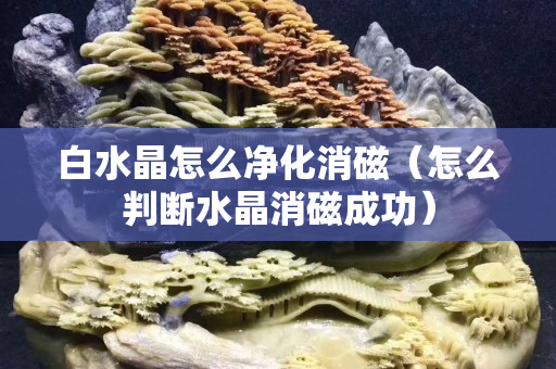白水晶怎么凈化消磁（怎么判斷水晶消磁成功）
