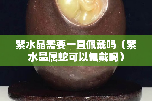 紫水晶需要一直佩戴嗎（紫水晶屬蛇可以佩戴嗎）