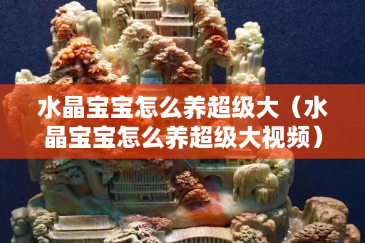 水晶寶寶怎么養(yǎng)超級大（水晶寶寶怎么養(yǎng)超級大視頻）