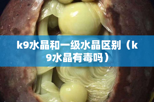 k9水晶和一級(jí)水晶區(qū)別（k9水晶有毒嗎）