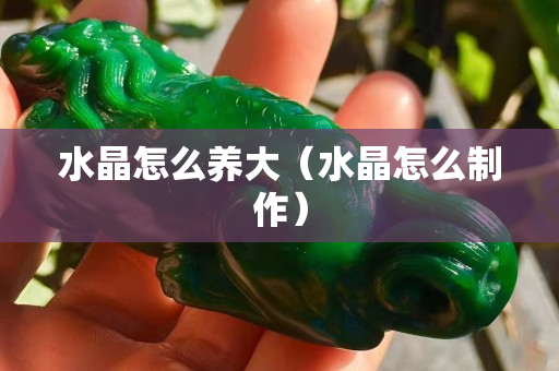 水晶怎么養大（水晶怎么制作）