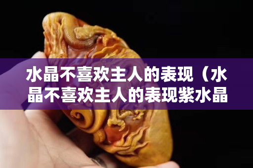水晶不喜歡主人的表現（水晶不喜歡主人的表現紫水晶）