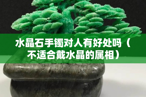 水晶石手鐲對人有好處嗎（不適合戴水晶的屬相）