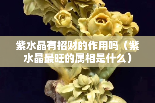 紫水晶有招財的作用嗎（紫水晶最旺的屬相是什么）
