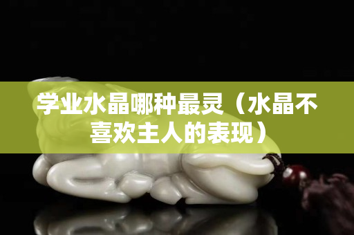 學業水晶哪種最靈（水晶不喜歡主人的表現）