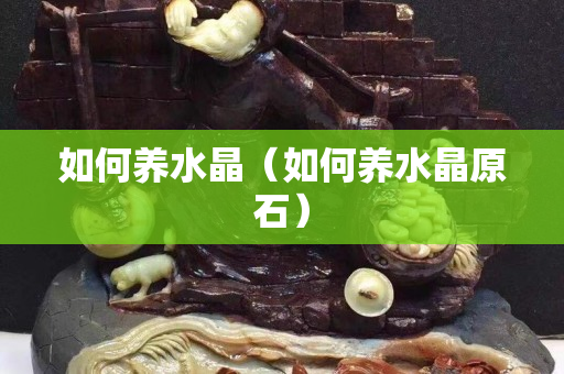 如何養(yǎng)水晶（如何養(yǎng)水晶原石）
