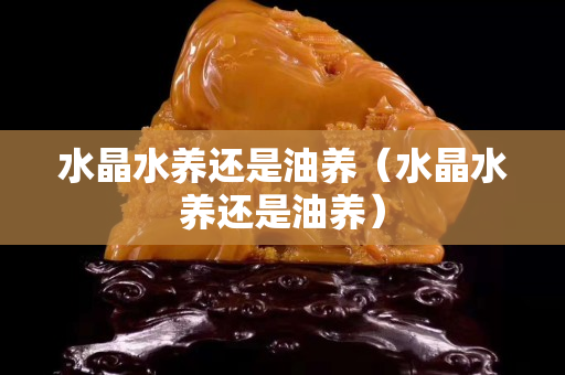 水晶水養還是油養（水晶水養還是油養）