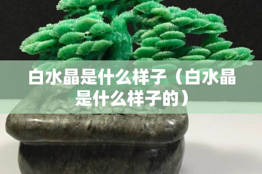 白水晶是什么樣子（白水晶是什么樣子的）