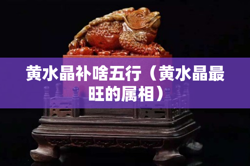 黃水晶補(bǔ)啥五行（黃水晶最旺的屬相）