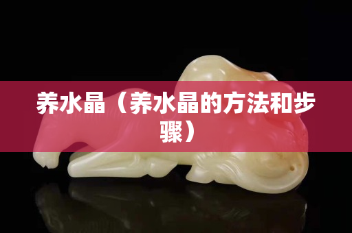 養水晶（養水晶的方法和步驟）