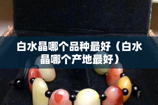 白水晶哪個品種最好（白水晶哪個產地最好）