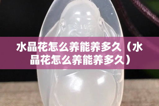 水晶花怎么養能養多久（水晶花怎么養能養多久）