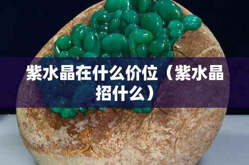 紫水晶在什么價(jià)位（紫水晶招什么）