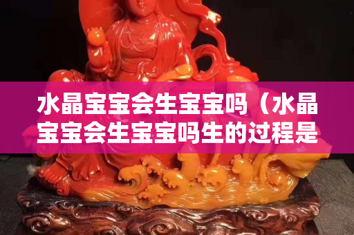 水晶寶寶會生寶寶嗎（水晶寶寶會生寶寶嗎生的過程是什么樣子的）