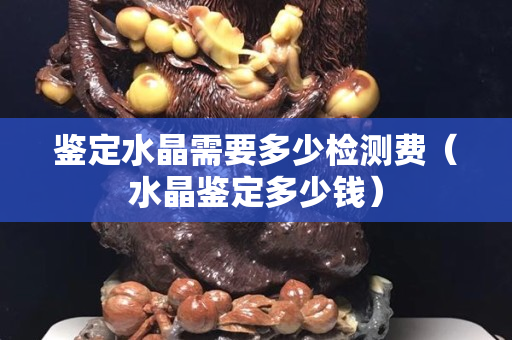 鑒定水晶需要多少檢測費（水晶鑒定多少錢）