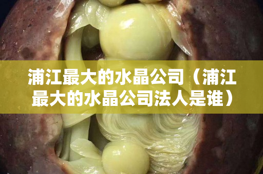 浦江最大的水晶公司（浦江最大的水晶公司法人是誰）