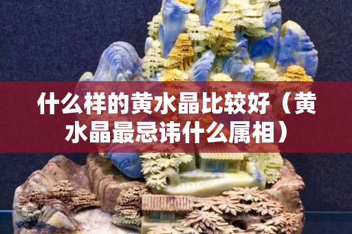 什么樣的黃水晶比較好（黃水晶最忌諱什么屬相）