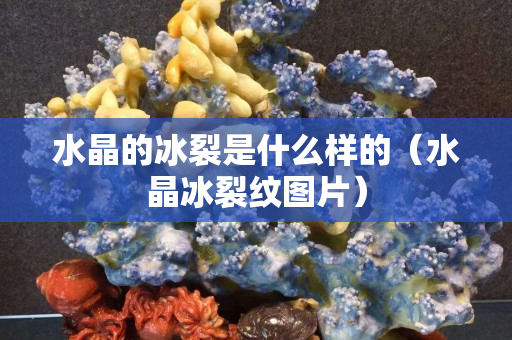 水晶的冰裂是什么樣的（水晶冰裂紋圖片）