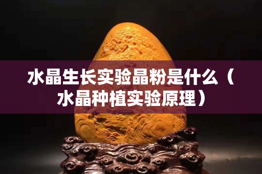 水晶生長實驗晶粉是什么（水晶種植實驗原理）