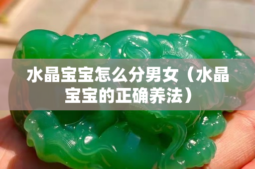 水晶寶寶怎么分男女（水晶寶寶的正確養(yǎng)法）