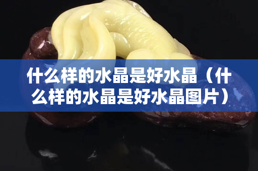 什么樣的水晶是好水晶（什么樣的水晶是好水晶圖片）