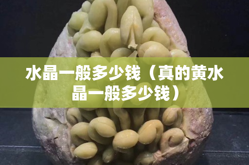 水晶一般多少錢（真的黃水晶一般多少錢）