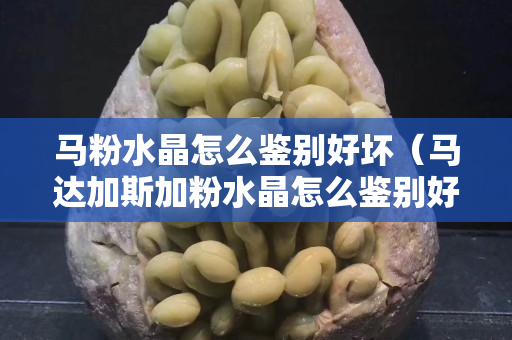 馬粉水晶怎么鑒別好壞（馬達加斯加粉水晶怎么鑒別好壞）