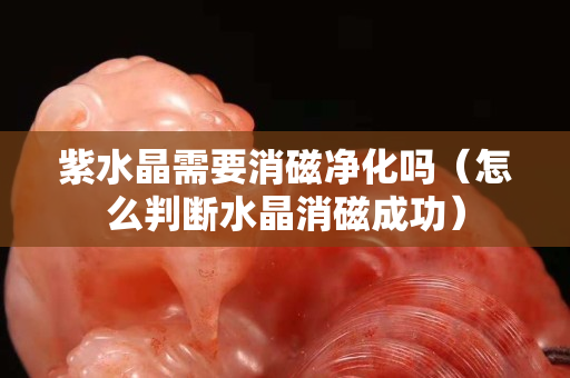 紫水晶需要消磁凈化嗎（怎么判斷水晶消磁成功）