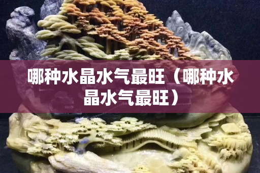 哪種水晶水氣最旺（哪種水晶水氣最旺）