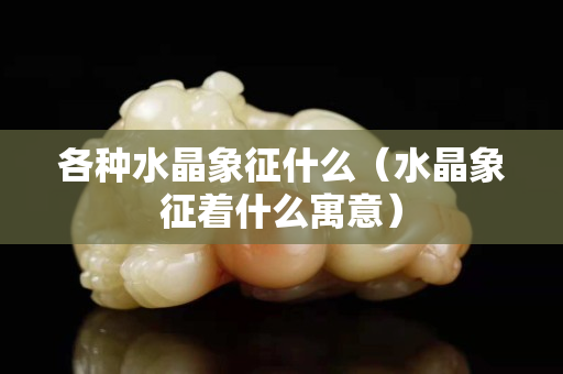 各種水晶象征什么（水晶象征著什么寓意）